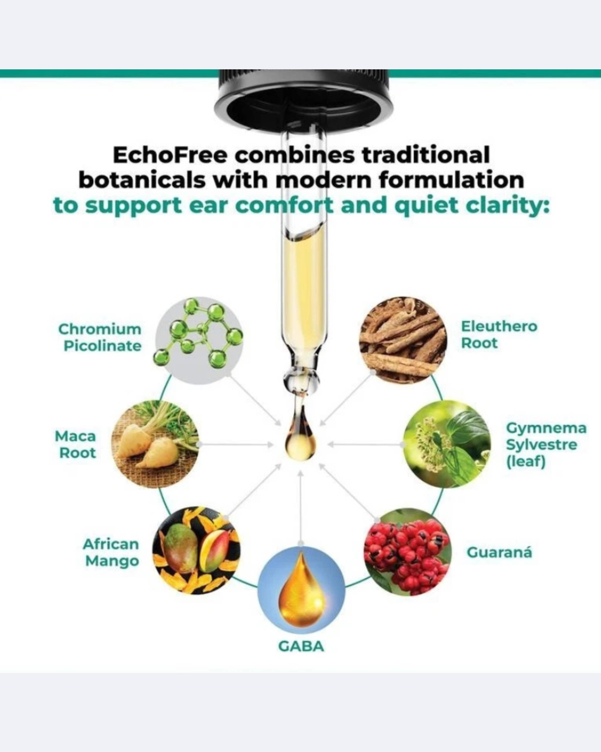 Echo Free Drops – Soporte Natural para Salud Auditiva y Alivio de Zumbidos (Tinnitus)